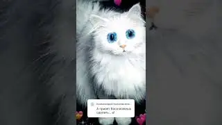 #ПРИВЕТ