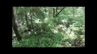 Enduro 08 June