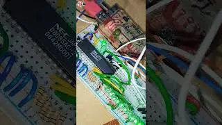 8085 Breadboard Computer | 8 bit Microprocessor | #shorts | #viralvideo