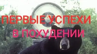 Худею с Вашей поддержкой 04.08.2019