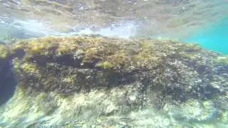♥ Mon amour, nel mare della Corsica del Sud