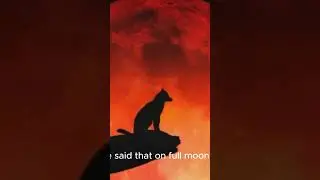 THE URBAN WEREWOLF #short #shorts