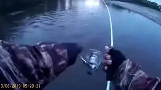 Сахалин. Сима. Вишневый лосось 3