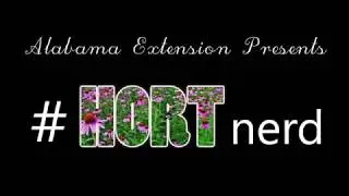 #HortNerd - Introduction to Landscape Design 101