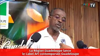 La Région Guadeloupe lance le Label Art contemporain Guadeloupe