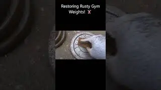 Restoring Rusty Weight Discs Weight Training Equipment 🏋️ 