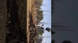 work Mode || sand Dressing work