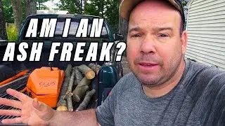FIREWOOD SCROUNGING DAY 4