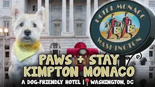 Paws + Stay: Kimpton Monaco DC | A Dog-Friendly Hotel | Washington, DC