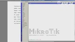 Типы переменных в Mikrotik Router OS