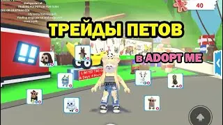 😁🤪😘 ТРЕЙДЫ ПЕТОВ в Adopt Me Roblox + ДАРЮ петов / ЧТО ДАЮТ ЗА СТАРЫХ И НОВЫХ ПИТОМЦЕВ в Адопт Ми 😁🤪😘