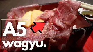 $10 Wagyu at Tokyo's Most Expensive Area!