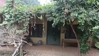 Patari village tour and old house 🏡 visit and vlog