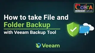 File & Folder Backup in Veeam Backup & Replication | Complete Guide