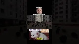 #мемы #словопоцана #рекомендации #угар #смешно