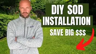 DIY Sod Installation: Save Money with These Easy Steps