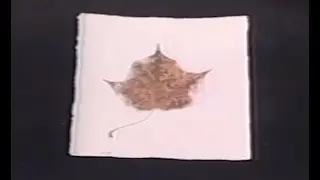 How To Make Paper: Surface Embedment