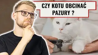 Pazury kota – pielęgnacja, błędy i niebezpieczne praktyki modowe.