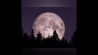 #Interesting Facts About The Earth #