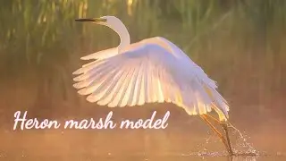 ⚜Heron Wetland Model⚜ Цапля болотная манекенщица