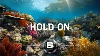 🎶 [ FREE ] - Hold On by Markvard  🎵 No Copyright Music 🎧