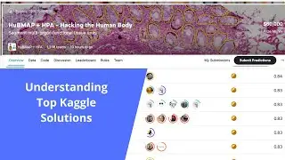 HuBMAP + HBA | Understanding Top Kaggle Solutions