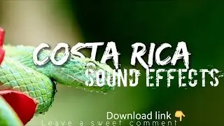 Relaxing sound -COSTA RICA sound effects (HD sound).