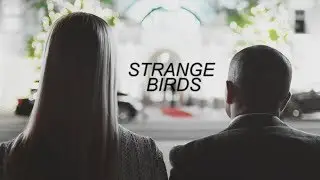 STRANGE BIRDS {Отель Элеон}
