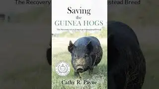Episode 24 - Saving the Guinea Hogs with author Cathy Payne