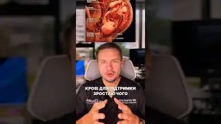 Чому зʼявляється варикоз під час вагітності???