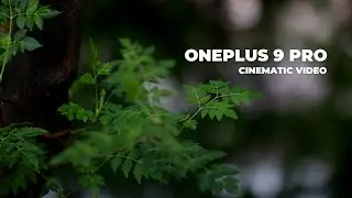 One Plus 9 Pro Cinematic Video | Into the Nature | Nature B-Roll | Rain Cinematic B-Roll