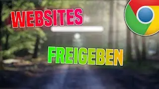 Google Chrome Webseiten entsperren/freigeben - Die Website ist nicht erreichbar? Lösung