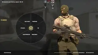 Counter-Strike 2 | SIG 553