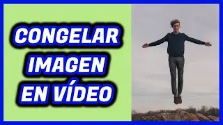 Cómo CONGELAR UN FOTOGRAMA con FlexClip | PARAR VÍDEO | Fácil | Edición de vídeo | Sencillo | Rápido