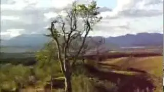 JONAS SOUZA - Na terra do nunca.