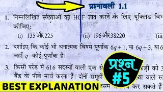 class 10 maths chapter 1 exercise 1.1 question 5 || 