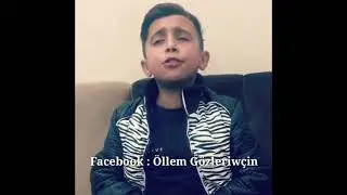 Küçük yunus - ömrümün yoldaşı