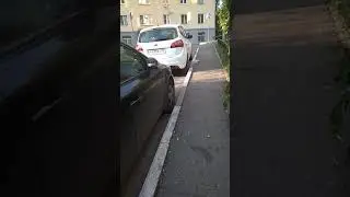 Забыла документы