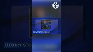 Mall robbery suspects stole $8K worth of items in 30 seconds: Police