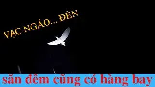 slingshot hunting at night and unexpectedly encountering a giant bird