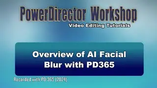 Overview of AI Facial Blur tool available in PD365