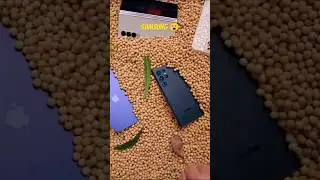 iPhone 14 Pro vs Samsung S23 Ultra #iphone #iphonevssamsung #samsung #camera #cameratest #quality