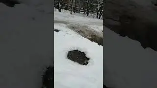 Прорыв канализации Казань жилплощадка, вонь и ужас.