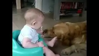 Дети и собаки приколы. Очень мило и смешно!