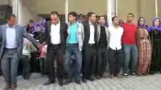 arap düğünü aşiret süper halay dıbec