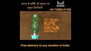 Save ₹6000/ Year, Grow Nutritious Vegetables at home. घर पर सब्जी उगाये, हर साल ₹६००० बचाये.