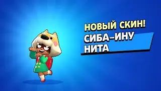 Сиба-Ину Нита :3 🐶