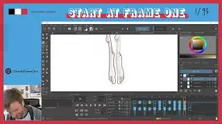 2D Animation Insights
