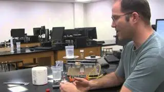 Specific Heat