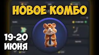 Новые КОМБО КАРТЫ в Хамстер Комбат 19 - 20 Июня! КАК ПОЛУЧИТЬ 5 МИЛЛИОНОВ МОНЕТ В HAMSTER KOMBAT!
